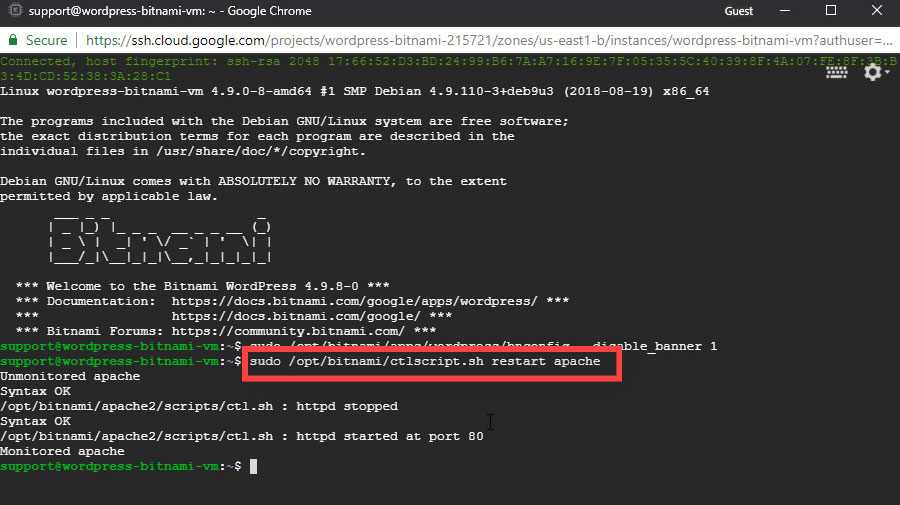 Reiniciar Apache WordPress Bitnami Google Cloud