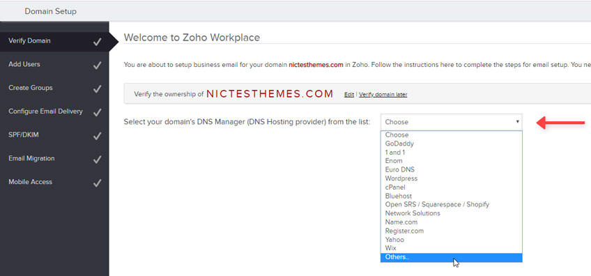 Seleccionar DNS Manager Zoho Mail