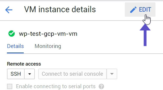 Editar VM Instance Google Cloud