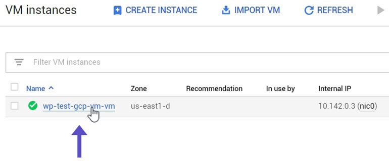 Seleccionar VM Instance Google Cloud